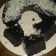 Cooksnap dari Mia Frieda Rachmawaty untuk resep Bolu ketan hitam