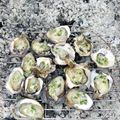 Cooksnap của Điệp Vũ khi họ làm theo món Hàu nướng mỡ hành