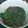 Cooksnap dari Kristal untuk resep Kangkung Balacan No MSG