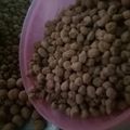 Cooksnap dari Nurul Badriyah untuk resep Kacang telor simple
