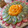 El cooksnap de Julieta Garro cuando hizo Tarta de Crema Pastelera y frutas.