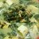 Cooksnap dari Neng Nena untuk resep Sayur daun singkong teri medan