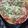 Dorry Khatushiest Libokoyi's cooksnap of when they made Pizza.
