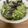 El cooksnap de Eduardo Agudo Alba cuando hizo Ensalada de salmón ahumado con crema ligera de aguacate🥗🥑.