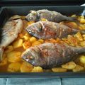 El cooksnap de Andresito Lopez cuando hizo Doradas al horno (súper fácil).
