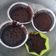 Cooksnap dari Erna untuk resep Choco Lava (no mixer no oven)