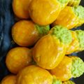 Cooksnap dari Ratih Rahajeng untuk resep Nastar Mooncake Taiwan