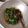 Cooksnap dari arizka untuk resep Oseng Sayur Lompong Daun Talas