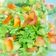 صورة من ام ادم👩🏻‍🍳، شاركها بعد تجربة وصفة سلطة بسيطة بمكونين فقط 🍅🥗