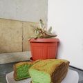 Cooksnap dari hasnafadh untuk resep Bolu Jadul Pandan Empuk, Lembap, dan Serat Halus