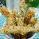 Cooksnap dari elyanied untuk resep Cheese Stick Puff