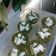 Cooksnap dari Erni Affandi untuk resep KUE IJO, TALAM IJO / Kue Lumpang