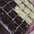 Cooksnap dari Chenchen untuk resep Cake potong pandan kukus super lembut.🍒🍒🍒🍒🍒🍒🍒🍒