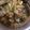 Cooksnap dari Selistia untuk resep Acar Mentah Timun Wortel