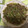 阿妹 的 螞蟻上樹 cooksnap