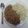 El cooksnap de Euge cuando hizo Goulash con arroz.
