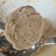 Cooksnap dari febby untuk resep Bakso daging sapi dan ayam