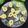 Barnali Saha's cooksnap of when they made গুঁড়ো দুধের গুজিয়া সন্দেশ (Guro doodher gujiya sondesh recipe in Bengali).