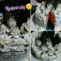 Cooksnap dari Ika Kurniawan (mimih Dizha..) untuk resep Rainbow Cake Kukus🌈🌈🌈