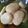 Cooksnap dari Ulil Wina untuk resep Getas