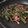 Marc Levesque's cooksnap of when they made Okra With Dried Anchovies.