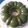 Cooksnap dari Chiimhaa chii untuk resep Puding busa matcha latte 3 lapis