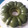 Cooksnap dari Chiimhaa chii untuk resep Puding busa matcha latte 3 lapis