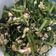 無舒 的 鹹蛋炒空心菜 cooksnap