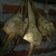 Cooksnap dari Menthe Handmade untuk resep Ketupat Metode 5.30.7