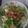 El cooksnap de esteban martel cuando hizo Ensalada templada con queso caramelizado.