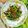 Cooksnap dari Noe untuk resep Tumis Bayam Saus Tiram