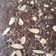 Cooksnap dari Ganika Diristiani untuk resep Shiny Fudgy Brownies Panggang