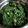 Cooksnap dari Erna Sari untuk resep Rebus Daun Singkong Tanpa Soda