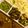 Erum Ahmed's cooksnap of when they made Bhindi Masala.
