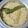 Cooksnap Haslinda Husin semasa beliau membuat Nasi Butter.