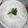 صورة من ام فريح ، شاركها بعد تجربة وصفة 🧄 مايونيز بالنشاء 🧄