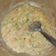 Cooksnap dari ira kania untuk resep MPASI #11-12M+ : CREAM SOUP KENTANG (BB Booster)