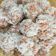 Cooksnap dari Elmiyati untuk resep Klepon Ketan Isi Gula Merah
