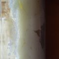 Cooksnap από Μαρια Κραλη στη συνταγή Κρέμα Βανίλιας με σιμιγδάλι 🍓🍒🍇
