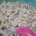 Cooksnap dari Santi Susanti untuk resep Putri Salju Tintin Rayner