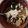 El cooksnap de Carmeta cuando hizo Yogur griego, muesli y coco rallado... "Cocoantojito" ☺️💞.