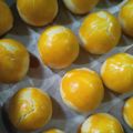 Cooksnap dari Anita novanda sari untuk resep Nastar Keju