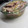 El cooksnap de Maria Virginia cuando hizo Lengua a la vinagreta.