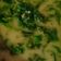 Cooksnap dari Mamamima untuk resep Daun Ubi Tumbuk Khas Medan No MSG #indonesiamemasak