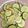 Cooksnap dari Nika untuk resep Tumis Jamur Tiram + Zuccini