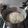 El cooksnap de NELSON SUAREZ cuando hizo ¡Pizza Casera!.