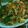 Sukla Sil's cooksnap of when they made মিক্সড চাউমিন (mixed chowmin recipe in Bengali).