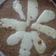 El cooksnap de Mercedes Melo cuando hizo Tarta de cebolla y queso.