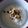 El cooksnap de Leyla Medina cuando hizo Sencilla crema de coliflor.