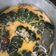 Cooksnap dari Bilqis Ufaira untuk resep Buntil Daun Pepaya dan Daun Singkong